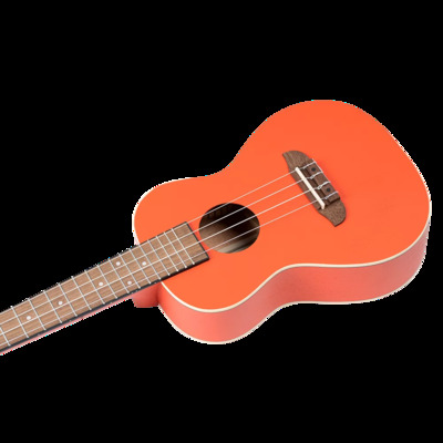 Укулеле концерт Ortega RUPUKI Изображение