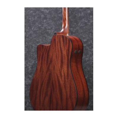 Гитара электроакустическая IBANEZ AAD170CE LGS Изображение