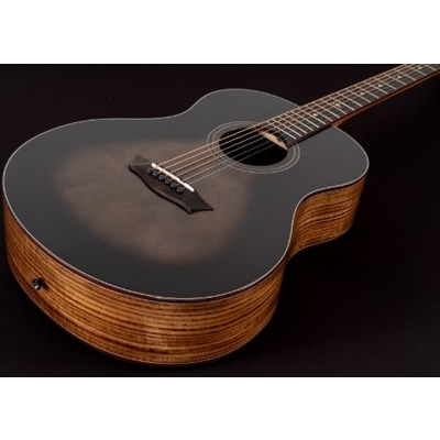 Акустическая гитара Washburn NOVO S9 Изображение