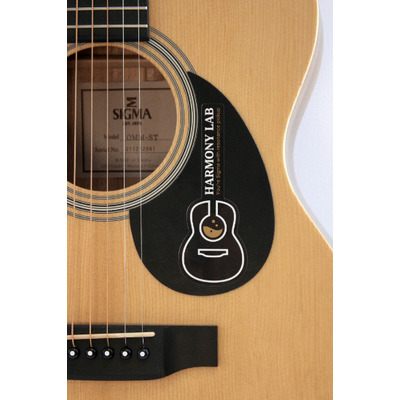 Трансакустическая гитара Sigma DM-ST Harmony Lab (Resonanse Pickup System) Изображение