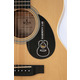 Трансакустическая гитара Sigma DM-ST Harmony Lab (Resonanse Pickup System) Изображение