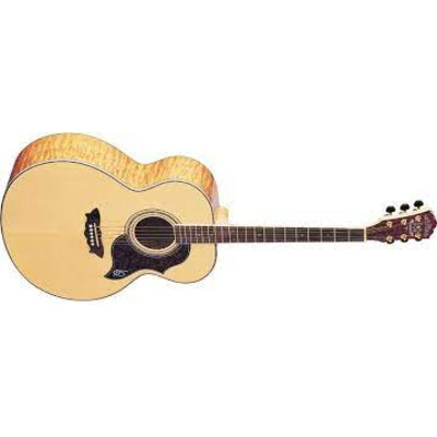 Акустична гітара Washburn J28 SDL Зображення
