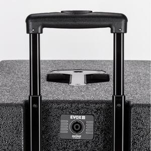 Акустична система RCF EVOX 12 Зображення