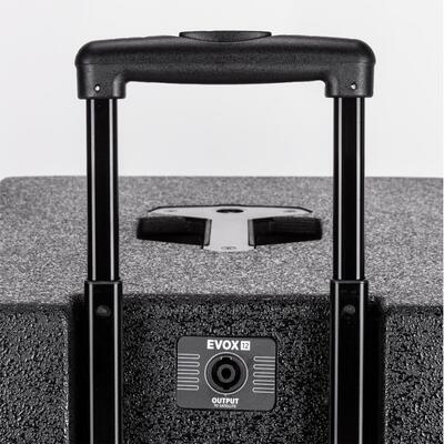 Акустическая система EVOX 12 Изображение