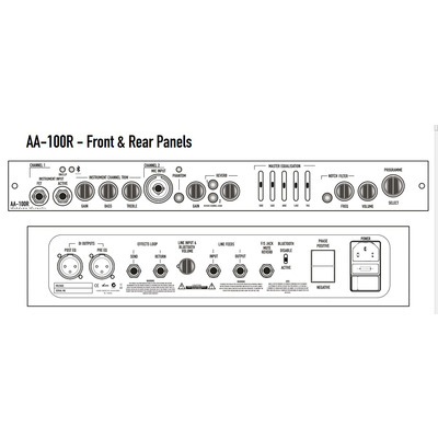ASHDOWN AA-100-R - Акустический комбо Изображение
