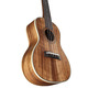 Укулеле Alvarez AU90С Зображення