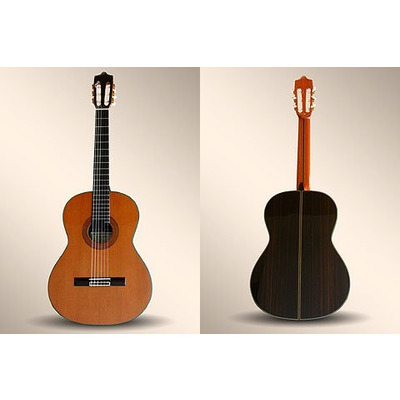 Гитара классическая Alhambra 8P Изображение