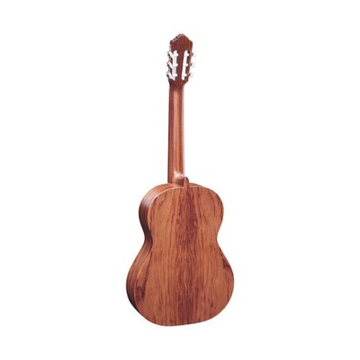 Гитара классическая Ortega R180 с чехлом OCGB-44 Изображение