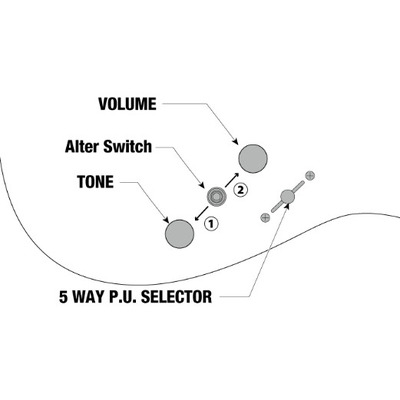 Электрогитара IBANEZ RGT1221PB SWL Изображение