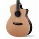 Акустична гітара Walden G3030CEQ / HA 4/4 Зображення