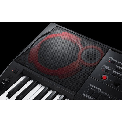 Синтезатор Casio CT-X5000 + блок питания Изображение