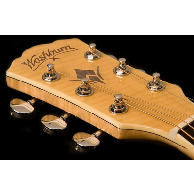 Електроакустична гітара Washburn EA20 TS Зображення