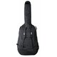 Чехол для контрабаса Gewa Premium 4/4 293400 Изображение