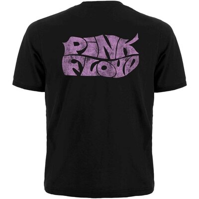 Футболка Pink Floyd (logo and photo) Зображення
