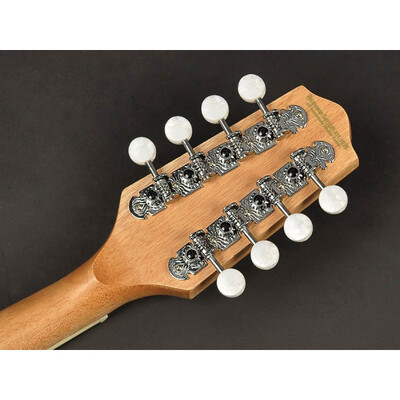 Бузукі Richwood RIBZ-40 Зображення