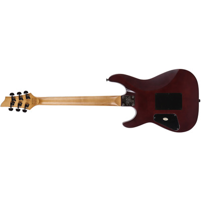 C-1 SGR FR BY SCHECTER WSN - Электрогитара Изображение
