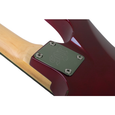 C-1 SGR FR BY SCHECTER WSN - Электрогитара Изображение