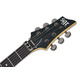 C-1 SGR FR BY SCHECTER WSN - Электрогитара Изображение