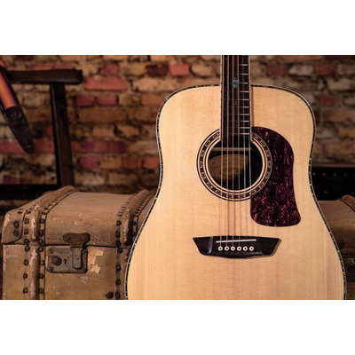 Акустична гітара Washburn HD80 S Зображення