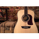 Акустична гітара Washburn HD80 S Зображення