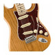 Електрогітара FENDER AMERICAN PROFESSIONAL LIMITED EDITION STRATOCASTER MN AGN Зображення