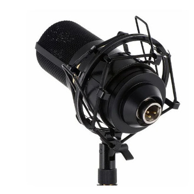 Студийный микрофон Marshall Electronics MXL 770 COMPLETE Изображение