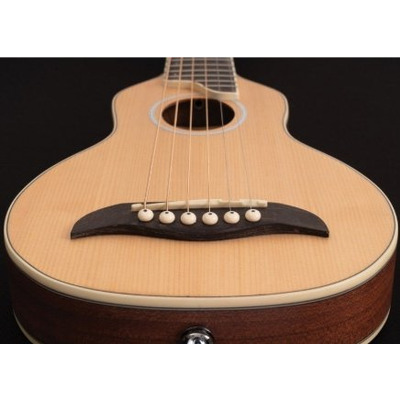 Акустическая гитара Washburn RO10SK Изображение