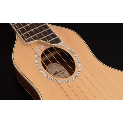 Акустическая гитара Washburn RO10SK Изображение