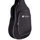 Чехол для акустической гитары Alfabeto WesternBag22 Изображение