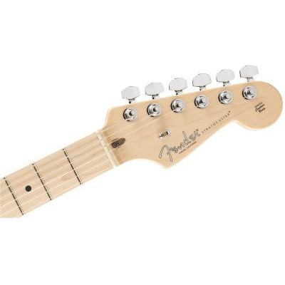 Електрогітара FENDER AMERICAN PROFESSIONAL LIMITED EDITION STRATOCASTER MN AGN Зображення