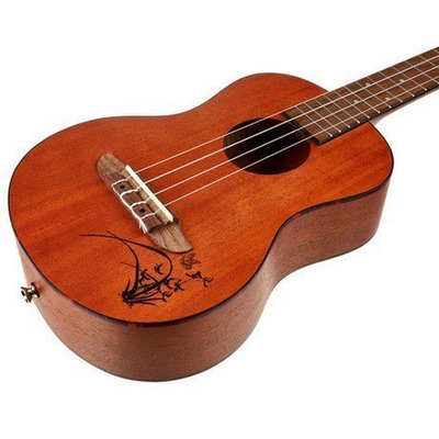 Укулеле Ortega RU5MM-TE (tenor) Изображение