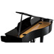 Цифровий рояль Kawai DG30 Зображення