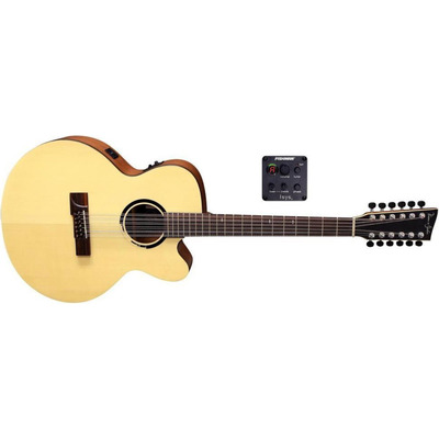 Электроакустическая гитара VGS B-40-12 CE Bayou (VG500540) Изображение