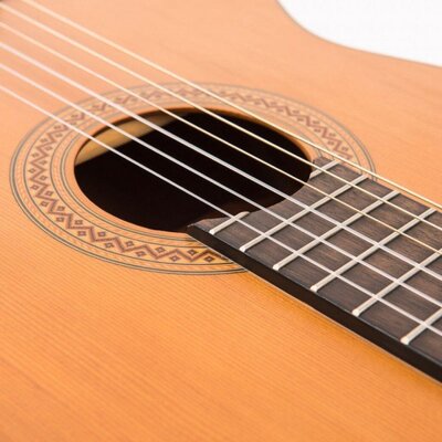 Класична гітара Santos Martinez SM350 Зображення