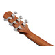 Гитара акустическая IBANEZ AAD50-LG Изображение
