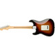 Электрогитара Fender Player Stratocaster Pf 3Ts (144503500) Изображение