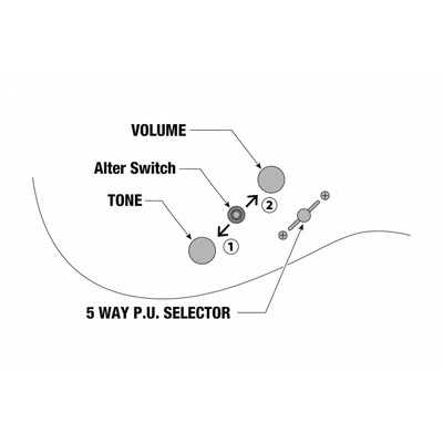 Електрогітара IBANEZ AZES40-MGR Зображення