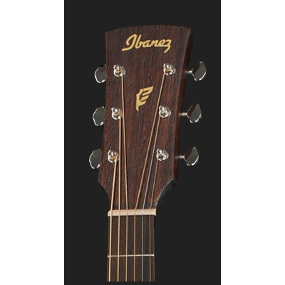 Акустична гітара Ibanez PC12MH OPN Зображення