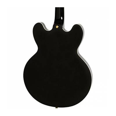 Гітара напівакустична EPIPHONE SHERATON - II PRO EBONY Зображення