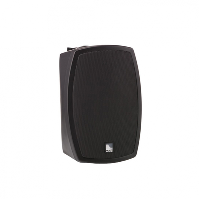 Настенная акустическая система AMC iPlay 5WT Изображение