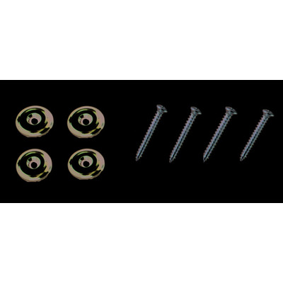 DR PARTS NP3/CR - Болты для крепления грифа Изображение