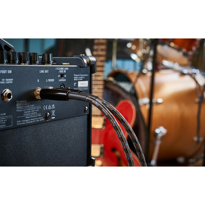 Стерео гитарный усилитель BOSS Dual Cube LX Изображение