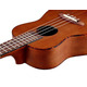 Укулеле Ortega RU5MM (concert) Зображення