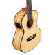 Укулеле Alvarez MU55TE Зображення