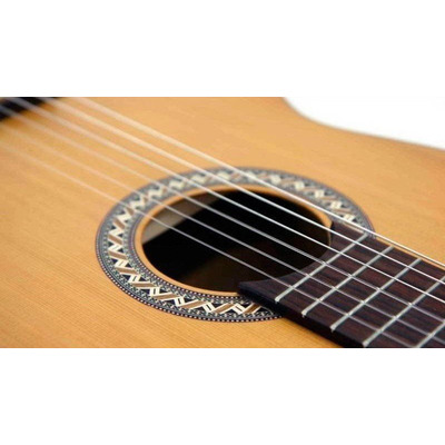 Класична гітара Pro Arte GC 240 II 500040742 Зображення