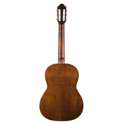 Класична гітара Pro Arte GC 240 II 500040742 Зображення