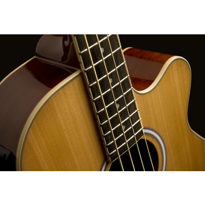 Акустическая бас-гитара WASHBURN AB5 Изображение