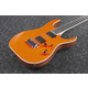 Електрогітара Ibanez RGR5221-TFR Зображення