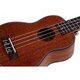 Укулеле Alfabeto MAHOGANY USM21 Изображение