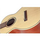 Укулеле концерт Prima M360C (Solid Spruce / Maple) Изображение